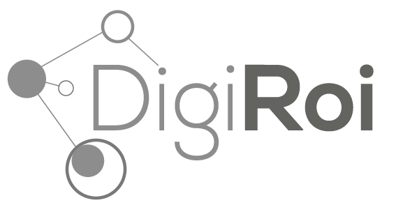 DigiRoi: Data Migration